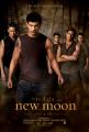 gallery_enlarged-new-moon-posters-photos-09292009-01
